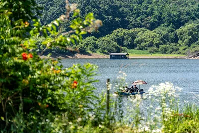 안성 두메낚시터 6월 25일 조황정보