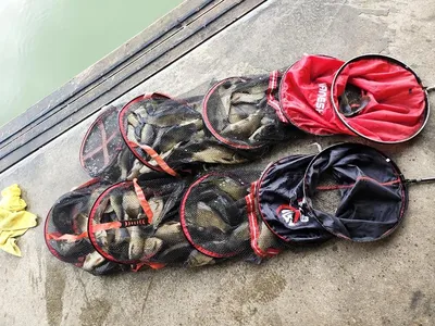 반제낚시터 조황정보입니다