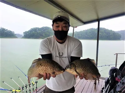 고삼지 물골자리 포인트 사짜붕어 행열