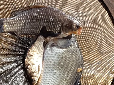 아름다운계곡속에자리잡은장계지에서