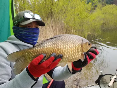 아름다운장계지에서