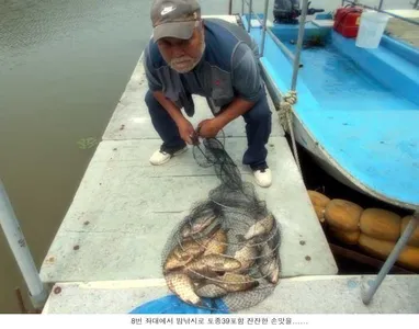 6월을 이런 조황으로  보내렵니다....