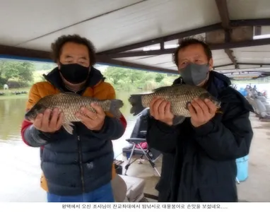 오늘도 4짜 토종붕어가 나오네요....