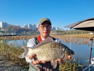 아산 명품 월랑낚시터 11월 첫번째 조황 화보입니다...^^