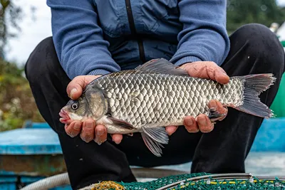 안성 두메낚시터 10월 21일 조황정보