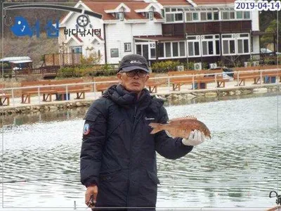 4월14일어심바다낚시터조황