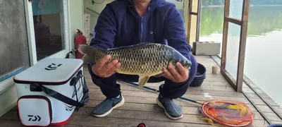 양평 힐링 수곡낚시터 6월 둘째주 주후반 조항 및 붕어방류