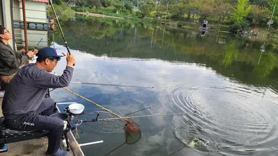 9월 넷째주 주말 힐링 수곡낚시터 붕어 조황 및 방류