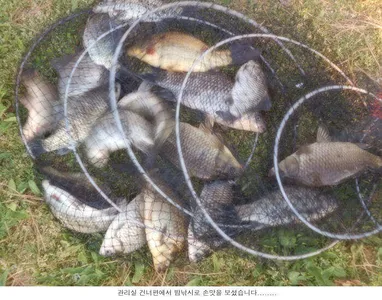 출발은 좋은데.....