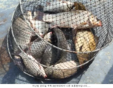 4월 28일 조황입니다....