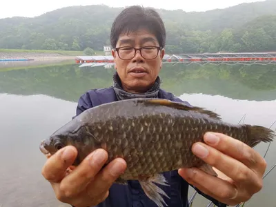 아름다운장계지에서