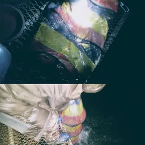 하우스 낚시 재개장 및 노지일정 