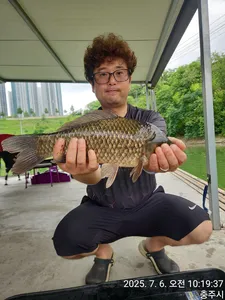 화곡낚시터 조황정보 