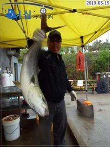 5월19일 어심바다낚시터조황
