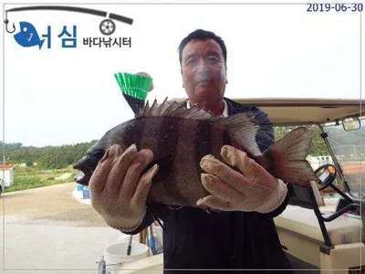 6월30일 어심바다낚시터조황