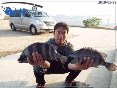 5월29일 어심바다낚시터조황 