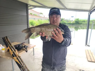 배수없는 항곡낚시터 조황