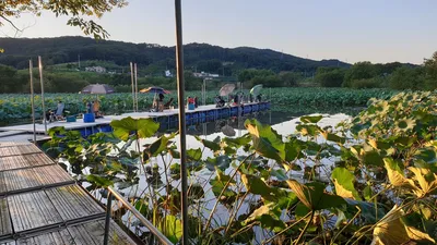 아산 명품 월랑낚시터 9월 세번째 조황이야기입니다...^^