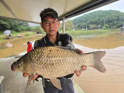 당진 항곡낚시터 조황