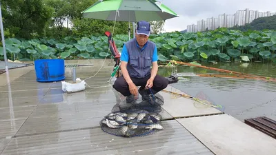 아산 명품 월랑낚시터 8월 첫번째 조황이야기입니다...^^