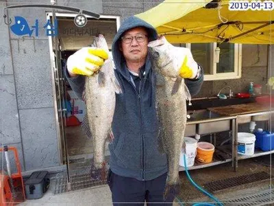 4월13일 어심바다낚시터조황 