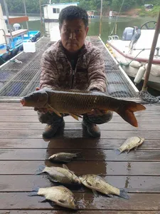 고삼지 배수 안정권 조황입니다.