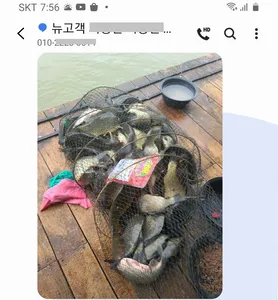 힐링 여름휴가 붕어낚시 수곡낚시터 주중조황, 붕어 방류안내