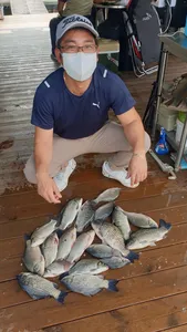 고삼지 가을 손님맞이 붕어타작