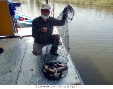 배수기에 이정도 조황이면....