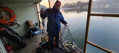 셋째주말 수곡낚시터 조황 및 대호만 토종붕어 대량 방류