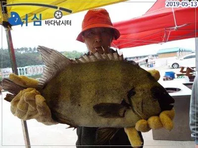 5월13일 어심바다낚시터조황 