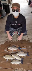 고삼저수지 상류권 꾸준한 조황입니다.