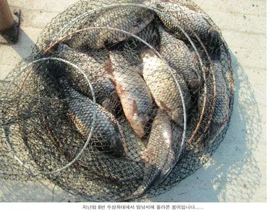 코로나로 전국이 시끄러운데....