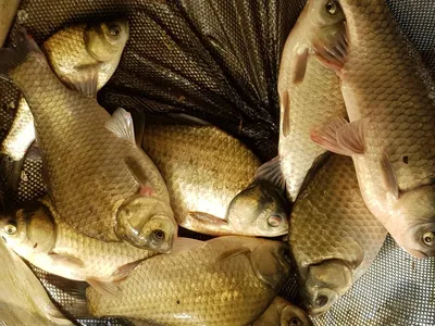 아름다운계곡속에자리잡은장계지에서