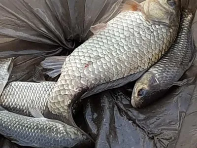 아름다운장계지에서