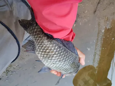 아름다운장계지에서