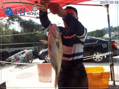 10월18일 어심바다낚시터조황 