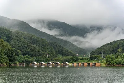 안성 두메낚시터 9월 11일 조황정보