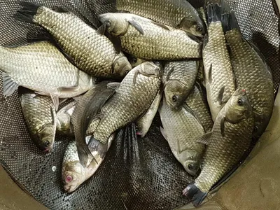 아름다운장계지에서