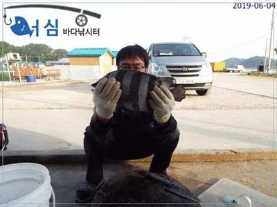   6월4일 어심바다낚시터조황 