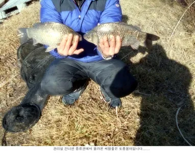 저수지 전역에서 입질을하고 있습니다...