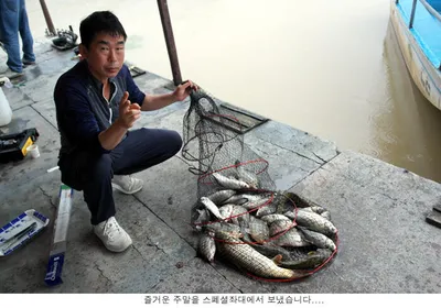 장마철 신봉지는 이런조황을....