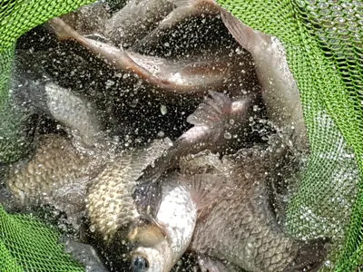 아름다운계곡속에자리잡은장계지에서