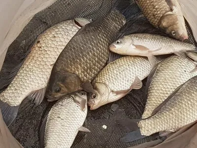 아름다운장계지에서