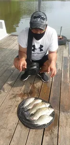 고삼지 더위만큼 화끈한 조황