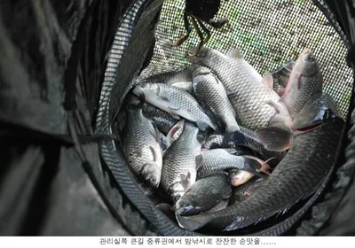 엄청 무더운날 신봉지에서는....