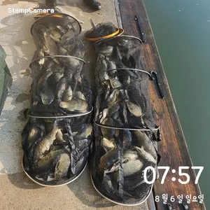 반제낚시터 주말조황정보입니다 