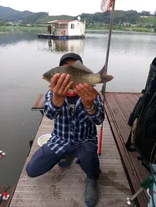 아산 명품 월랑낚시터 9월 첫번째 조황이야기입니다...^^