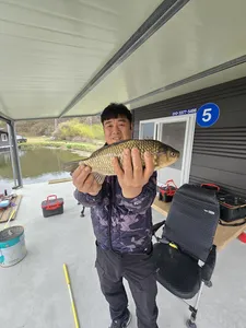 산란특수 입니다