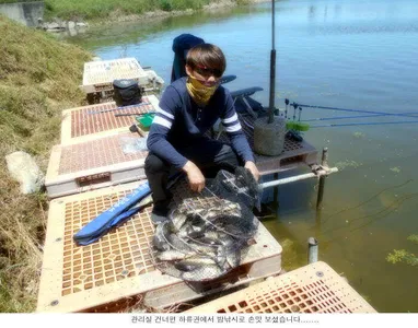 6월을 시작하는 조황입니다...